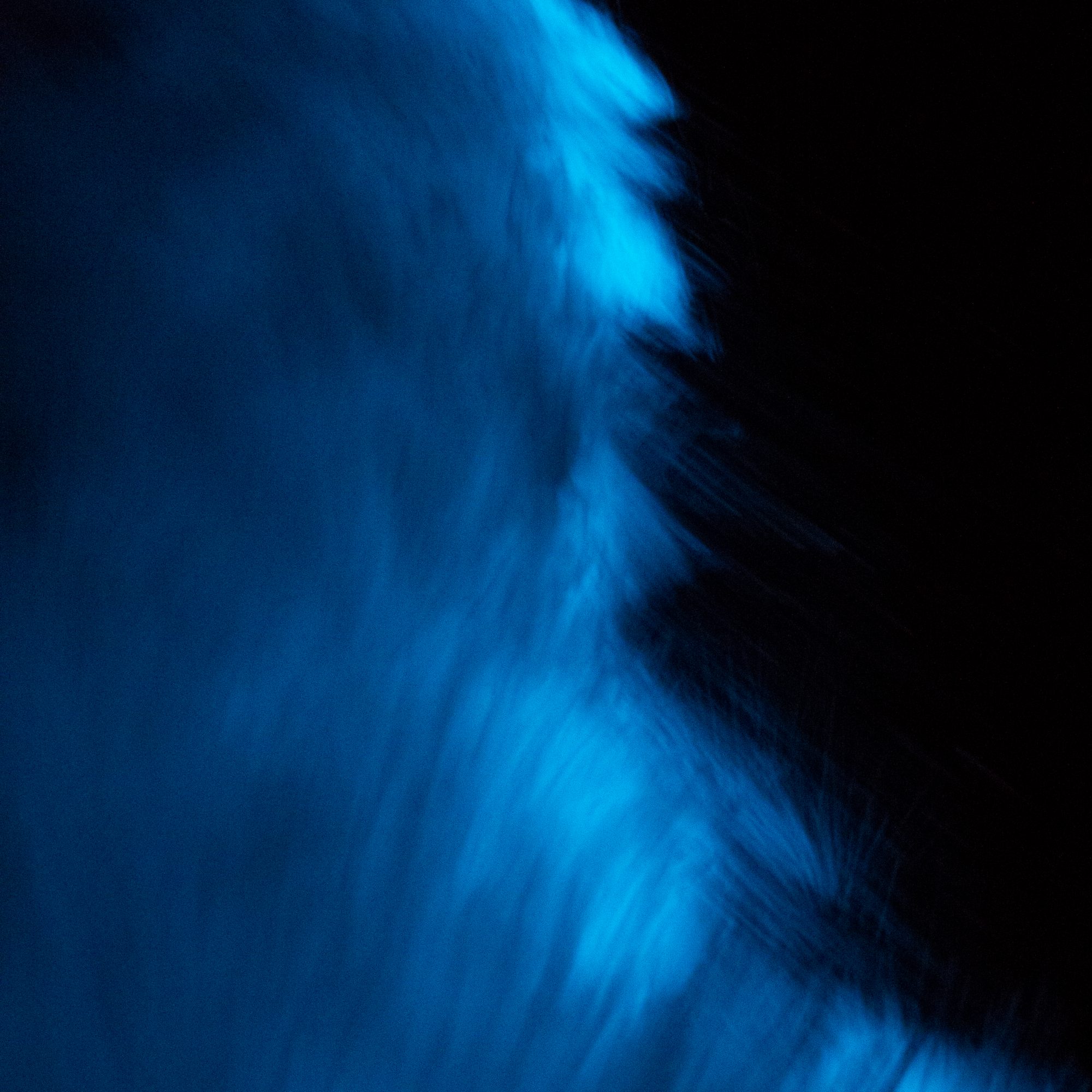Bioluminescence – Sea of Cortez, Mexico 2016