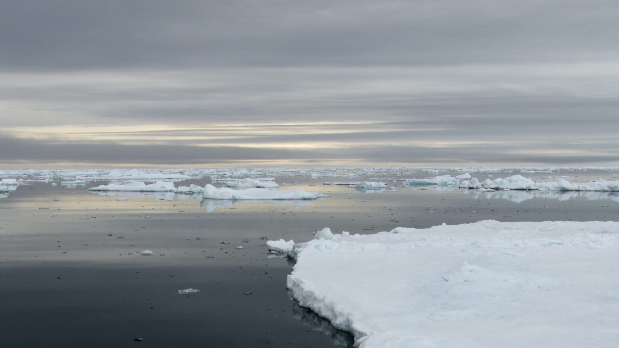 Essence of the Arctic: Pushing through the ice floes – Svalbard 2019